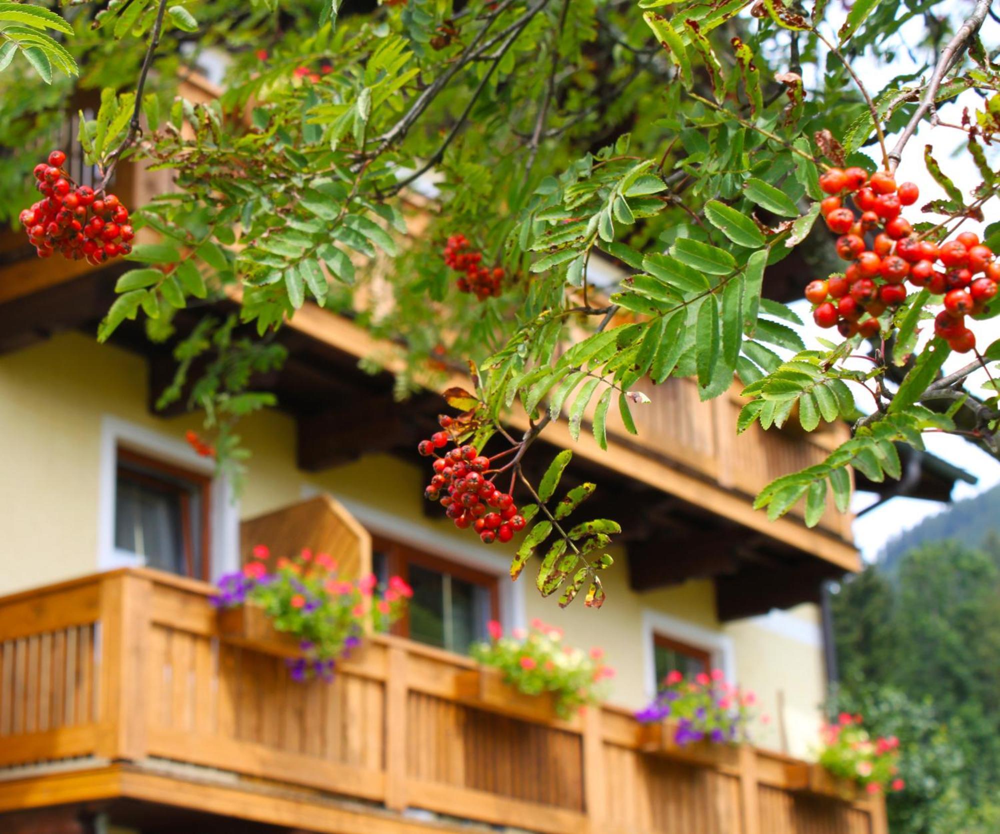 Haus Farmer Занкт-Мартін-ам-Тенненґебірґе Екстер'єр фото